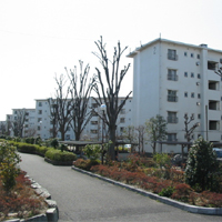 上尾シラコバト住宅